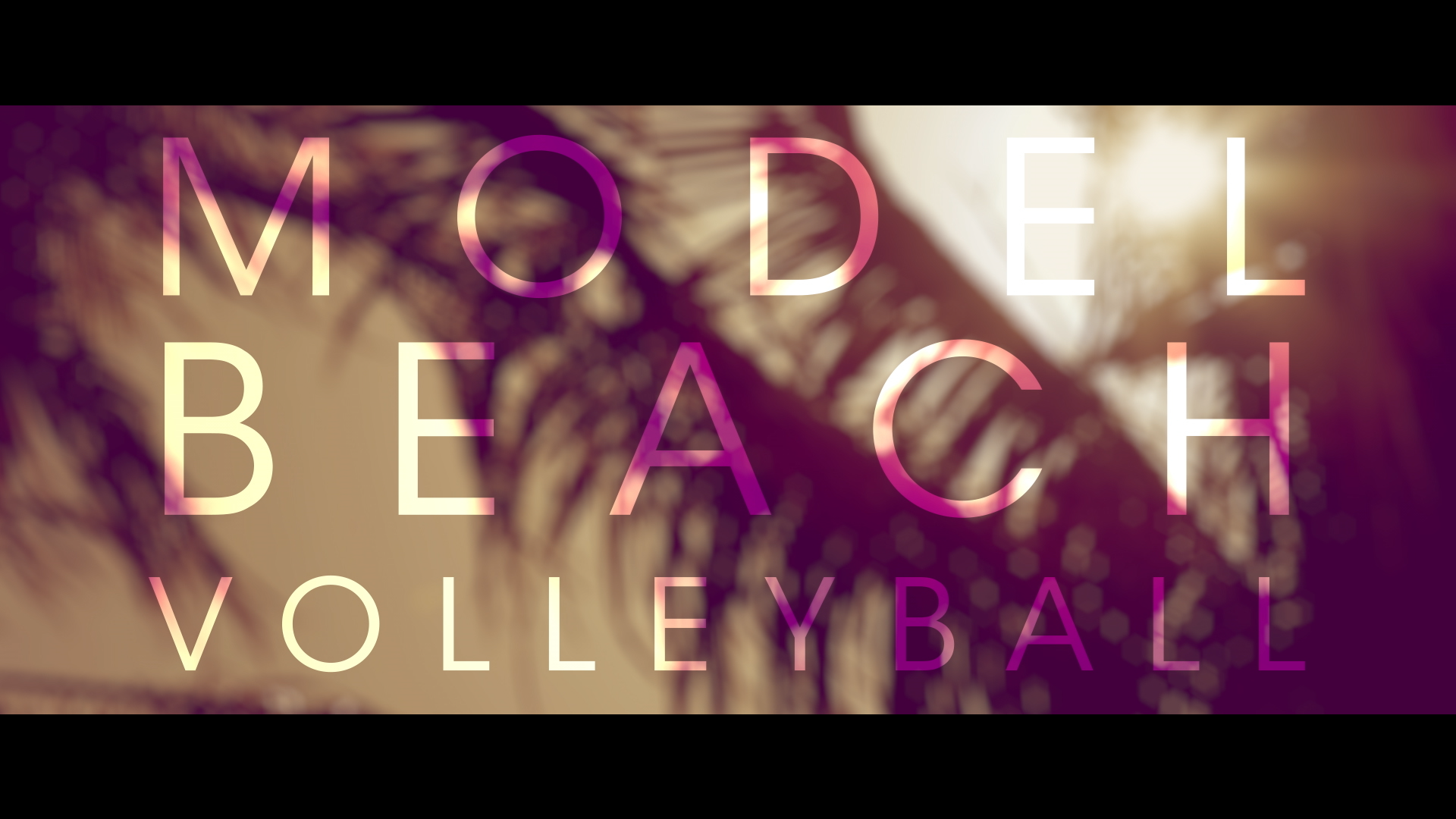Wildfox Model Beach Volleyball