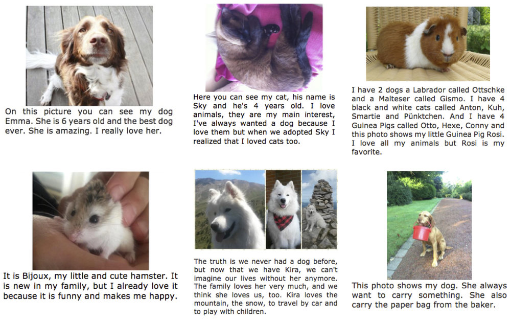 Adorable Student Pets! — SHARE! High School Exchange Program Adorable Student Pets! — SHARE! High School Exchange Program