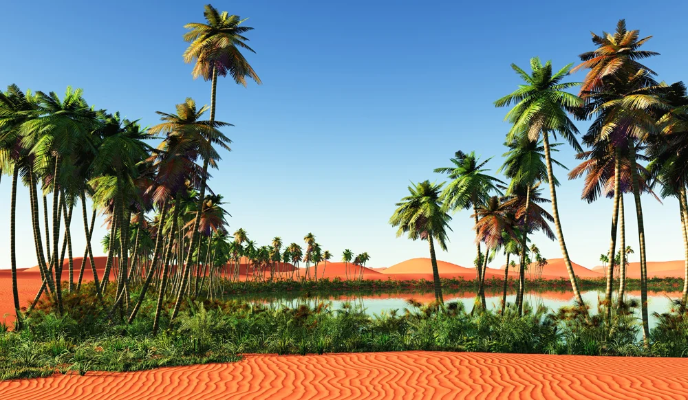 Desert Oasis.jpg
