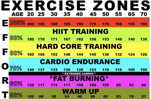 Weight Loss Heart Rate Chart