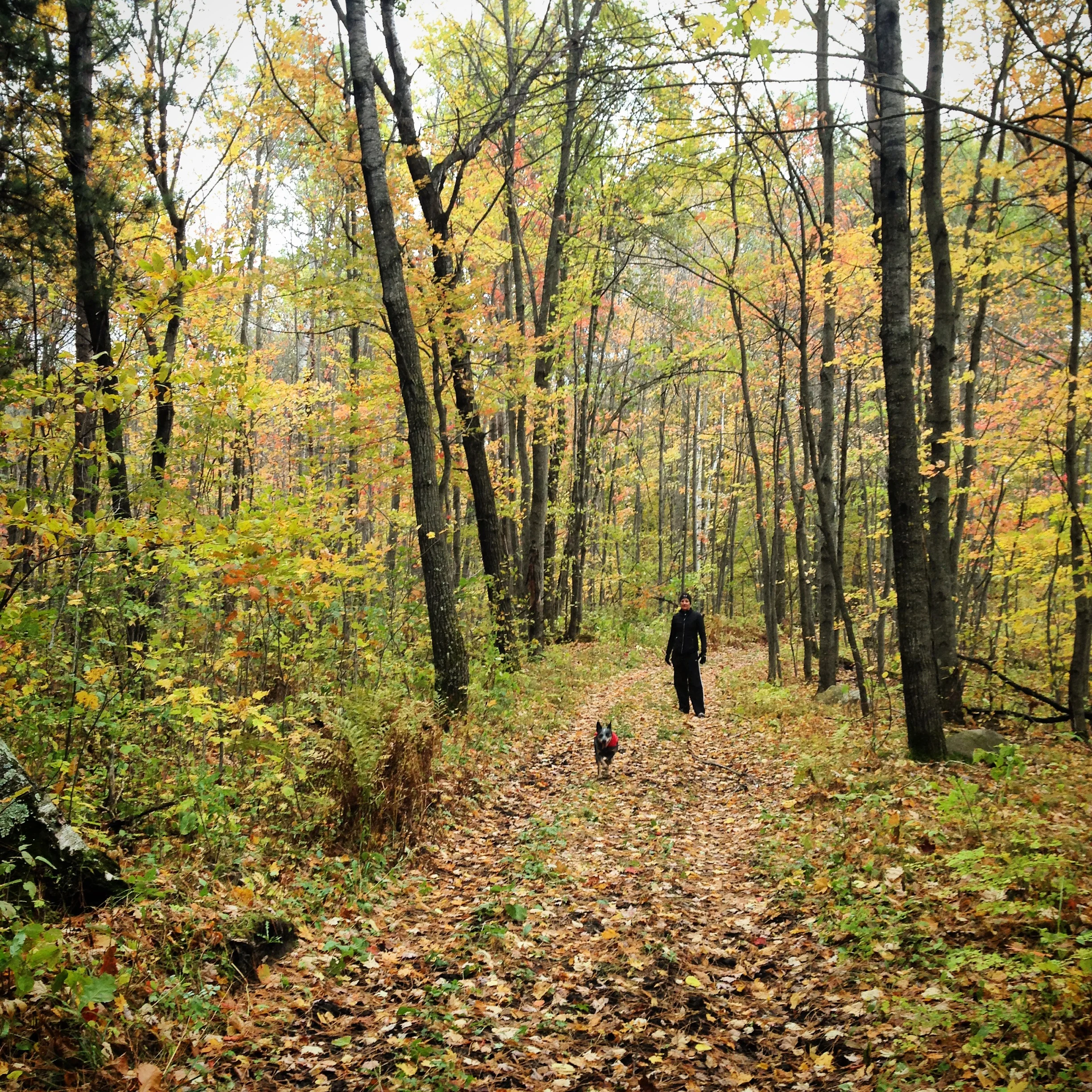 Sign up for AX on SignUp.com!