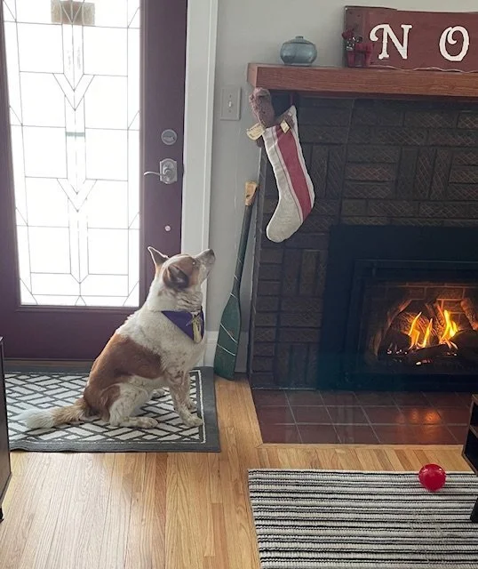 Holiday Schedule and BrewFit Socials