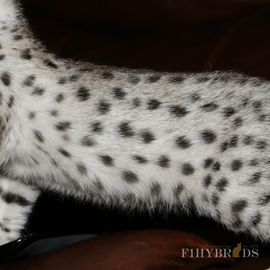 savannah-cats-eyes-81.jpg