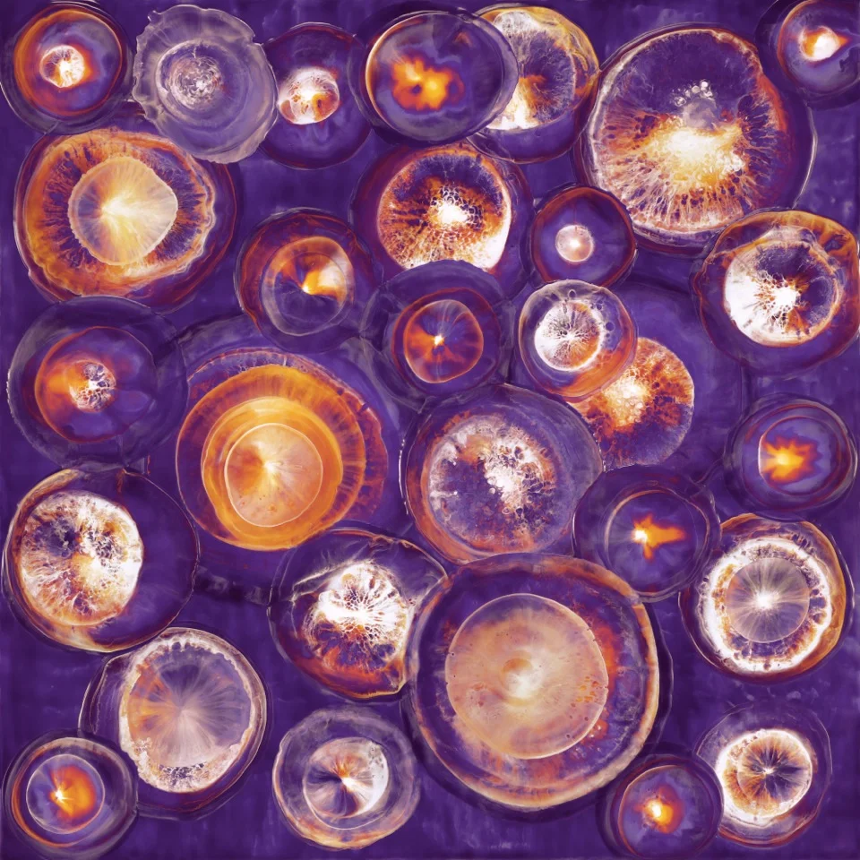 G120812 bu (purple)