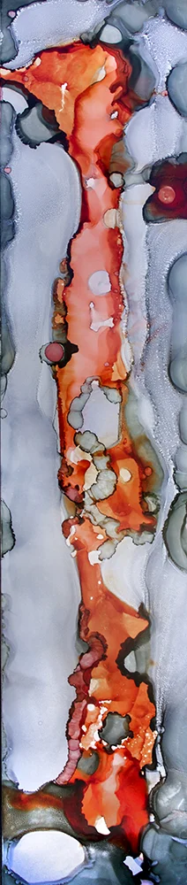 Coral Gray 070216 ia