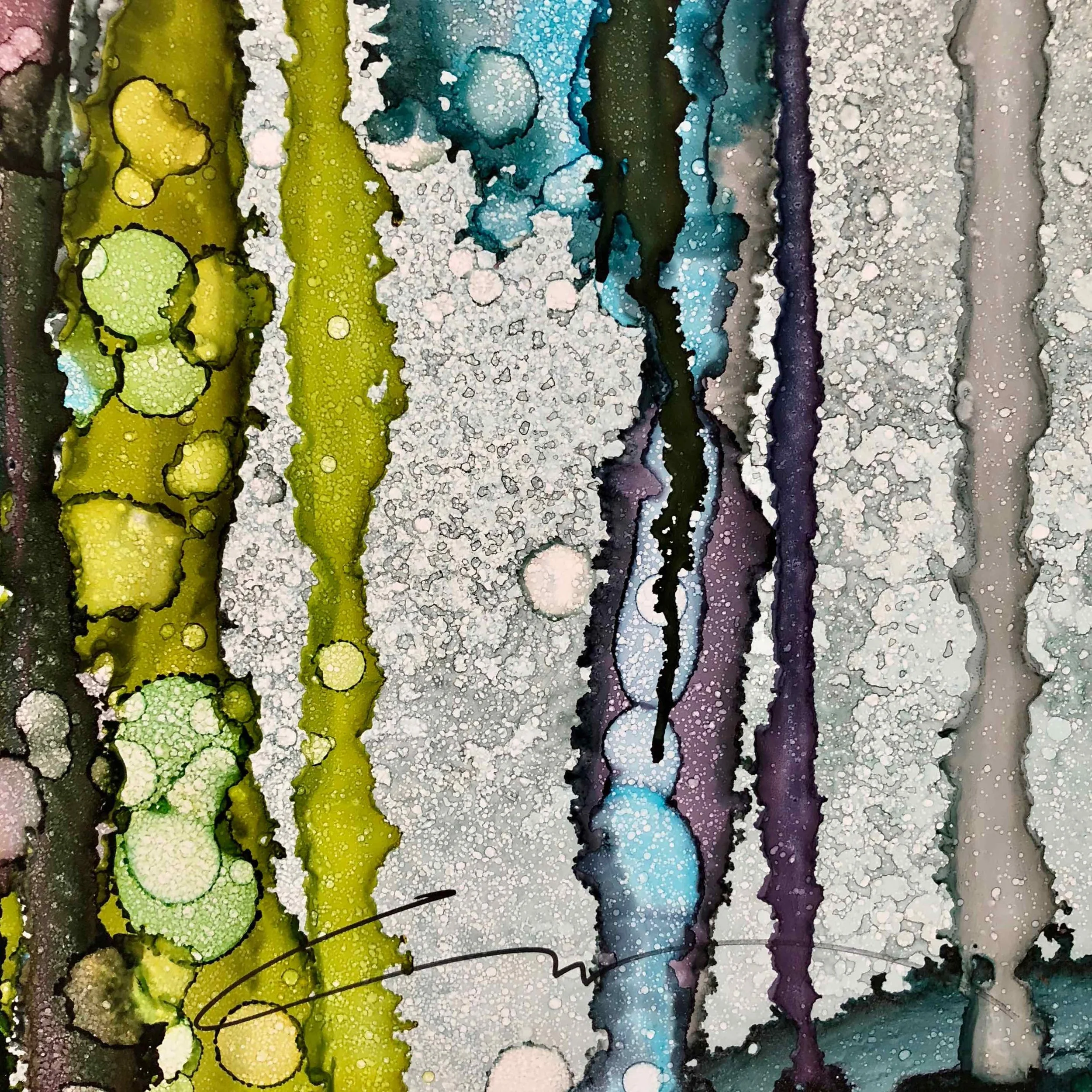 Close up of Kelp Forest