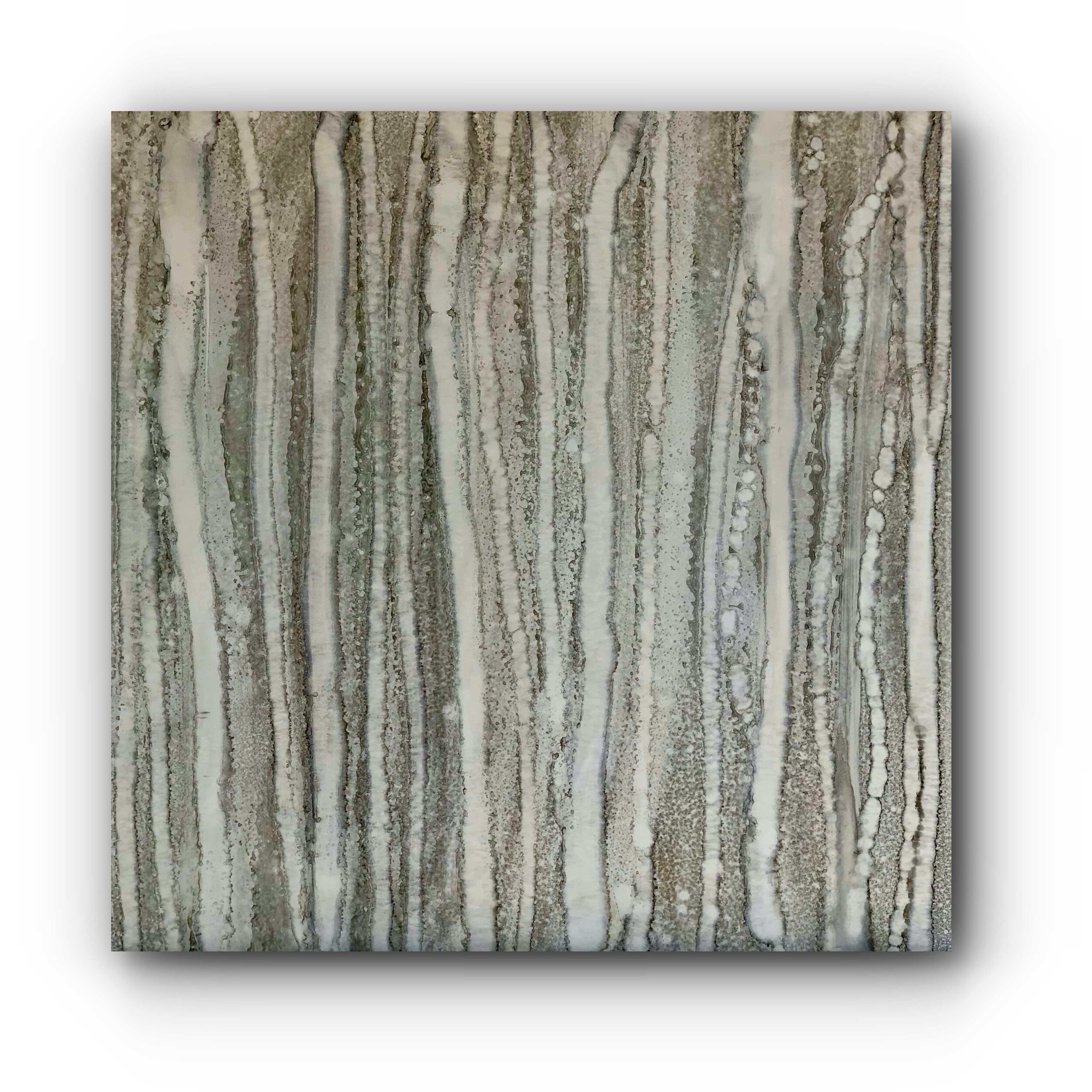 100619CW 30X30 SILVER ASPEN TREES 639KB.jpg