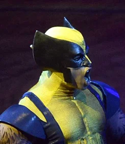WolverineMask1.jpg