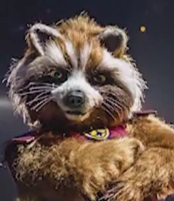 RocketRacoon.jpg