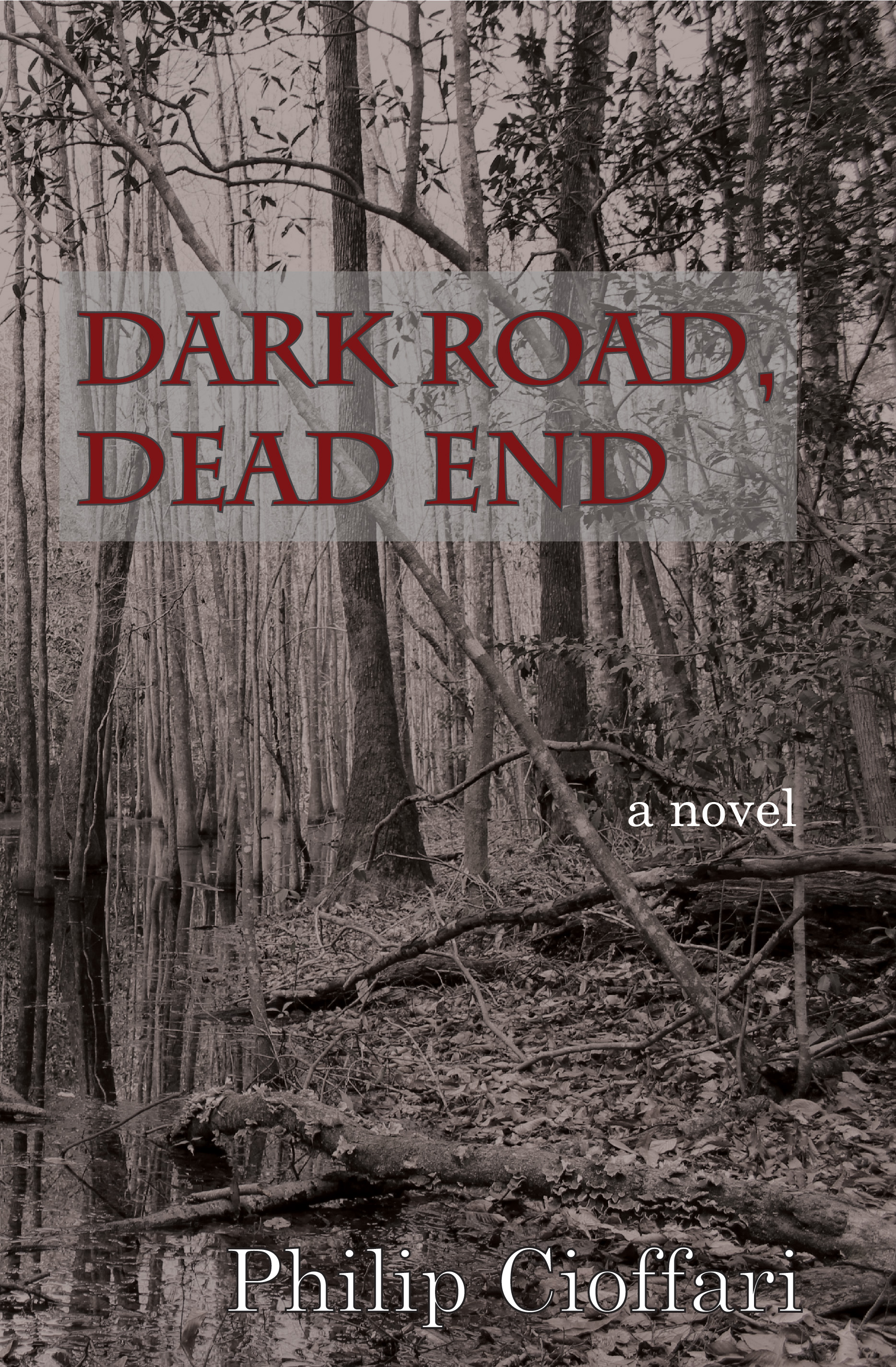 Dark Road, Dead End.jpg