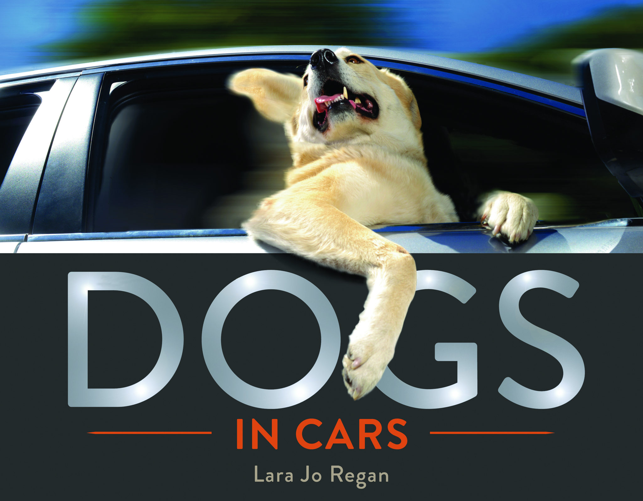 Dogs in Cars.jpg