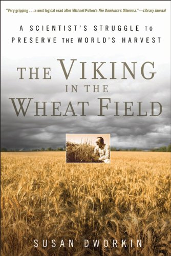 Viking in the Wheat Field.jpg
