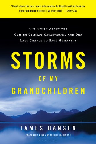 Storms of My Grandchildren.jpg