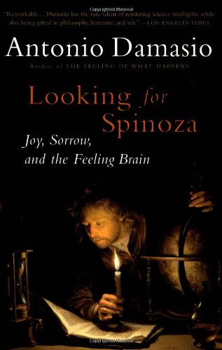 Looking for Spinoza.jpg