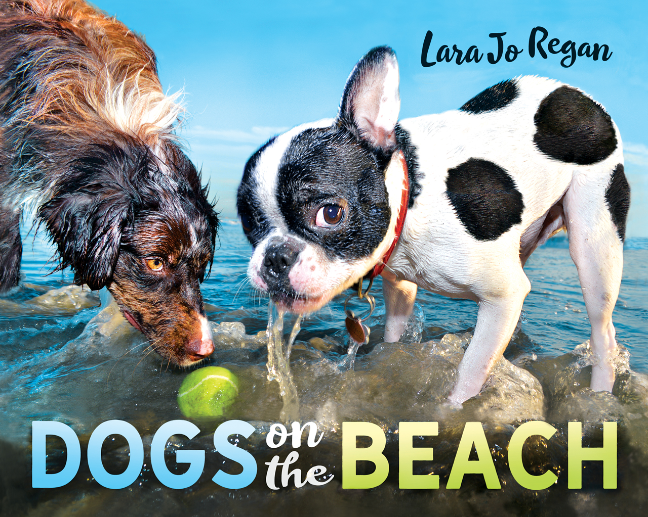 Dogs on the Beach .jpg