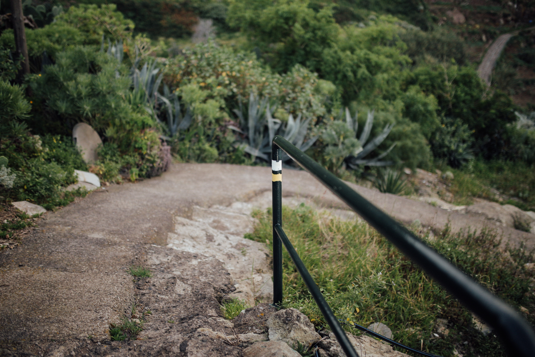 Marca del sendero: El camino barranco abajo te lleva a la playa de Tamadite // Mark of the path: This way downhill takes you to the beach of Tamadite