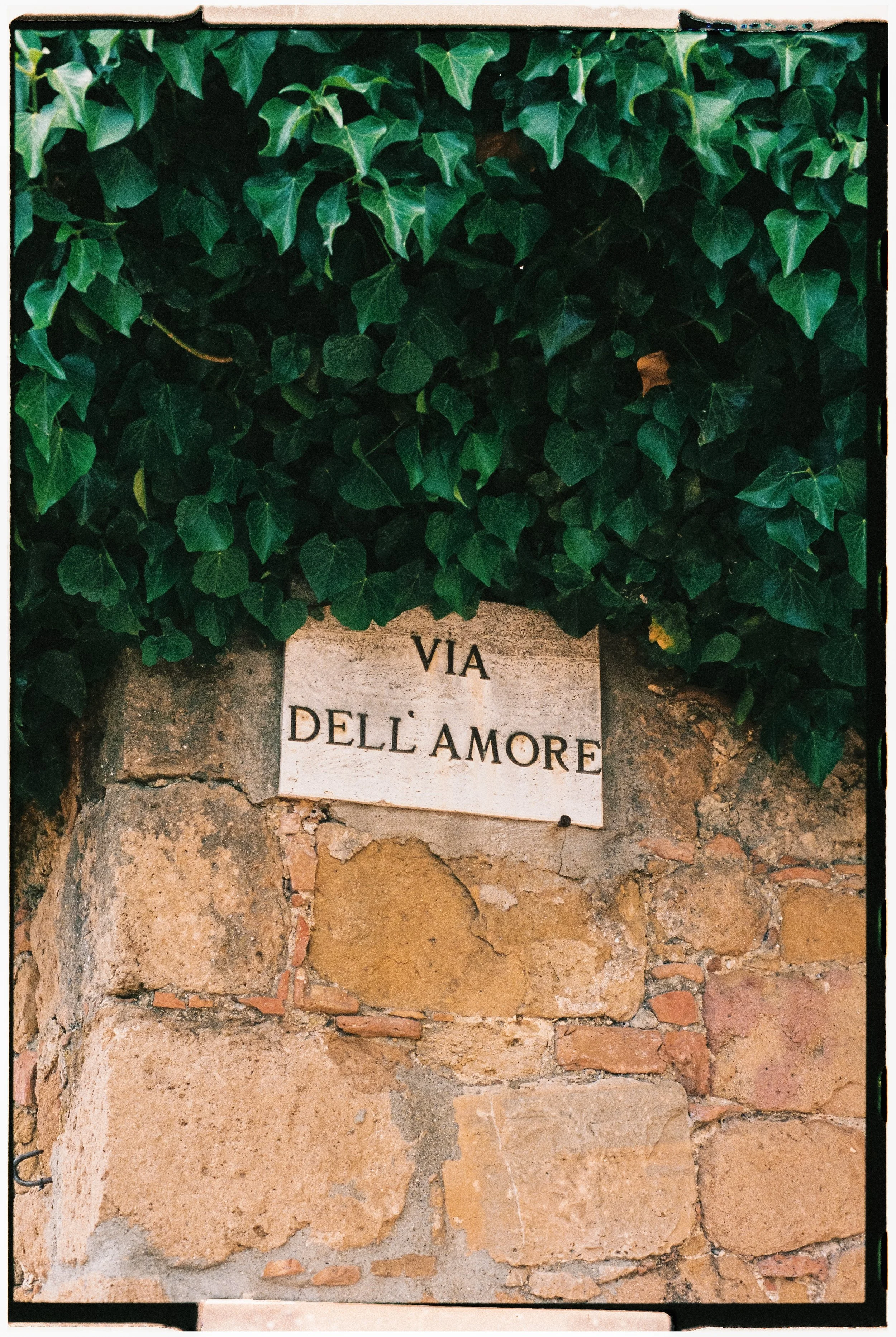 Italia-573.jpg