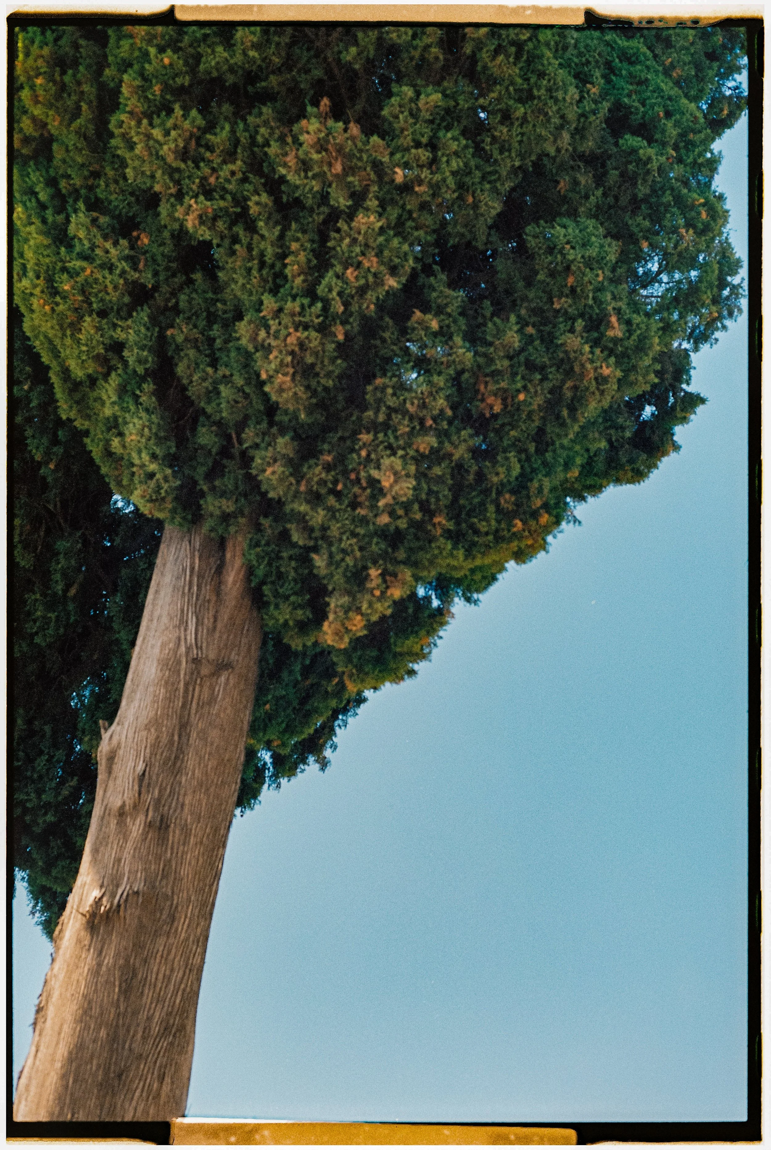 Italia-620.jpg