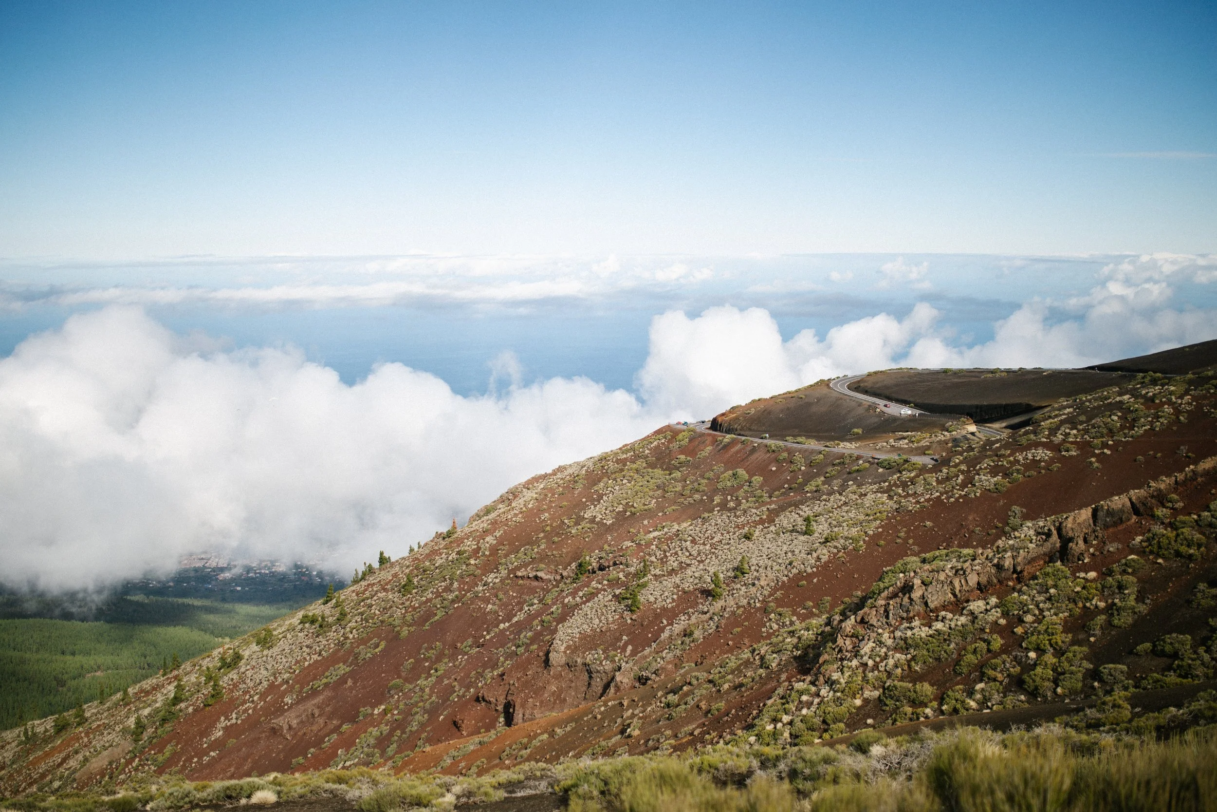 _MG_3559.jpg