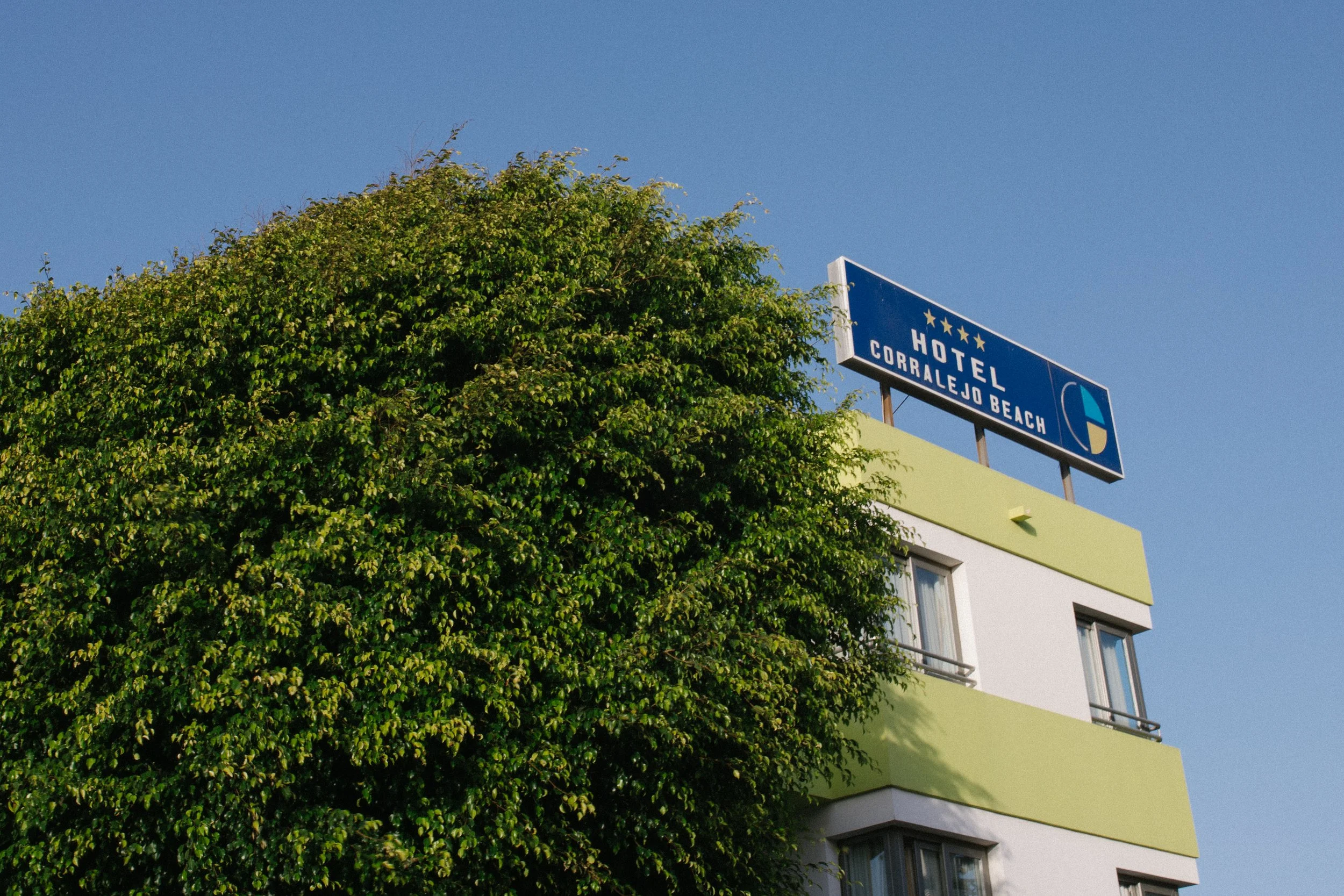 _MG_5356.jpg