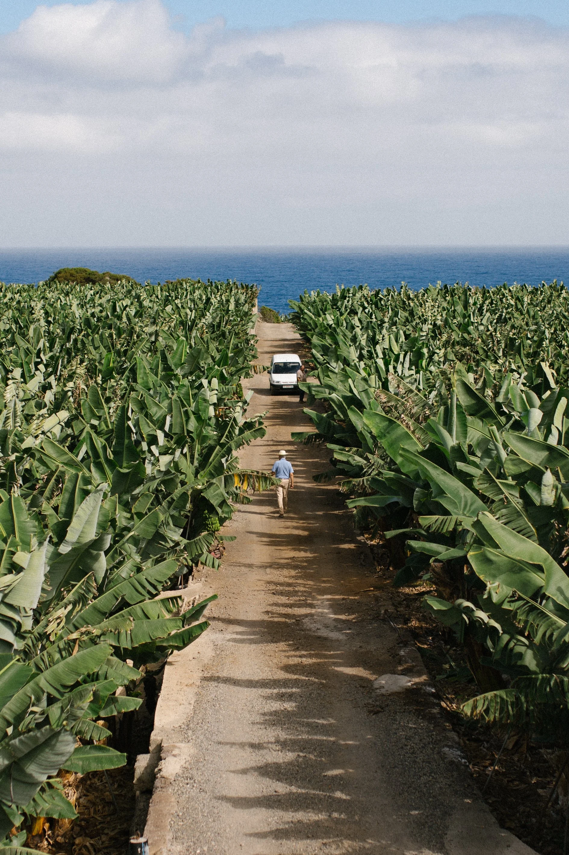  #landscape #tenerife 