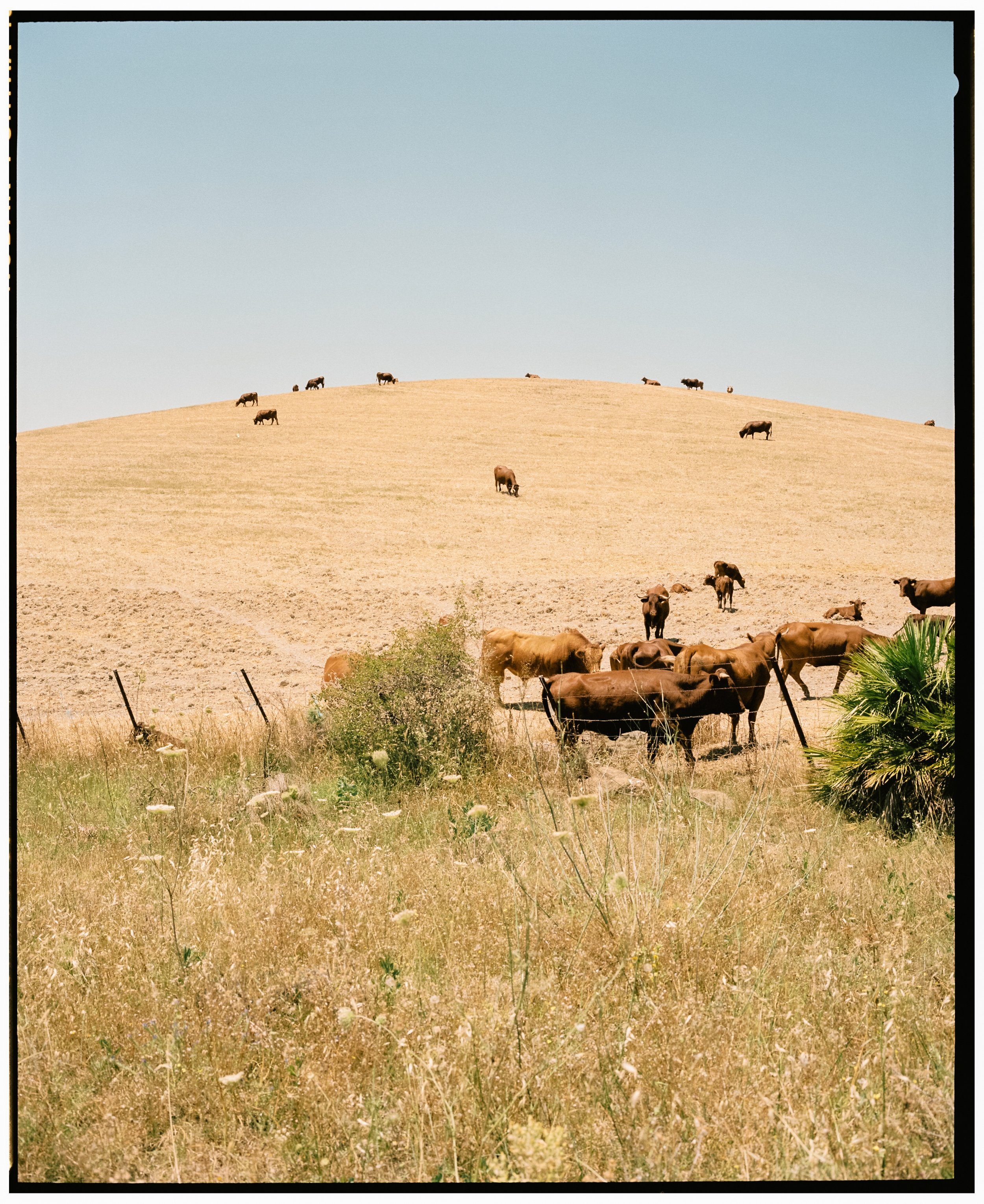 ViajeAndalucia-24.jpg