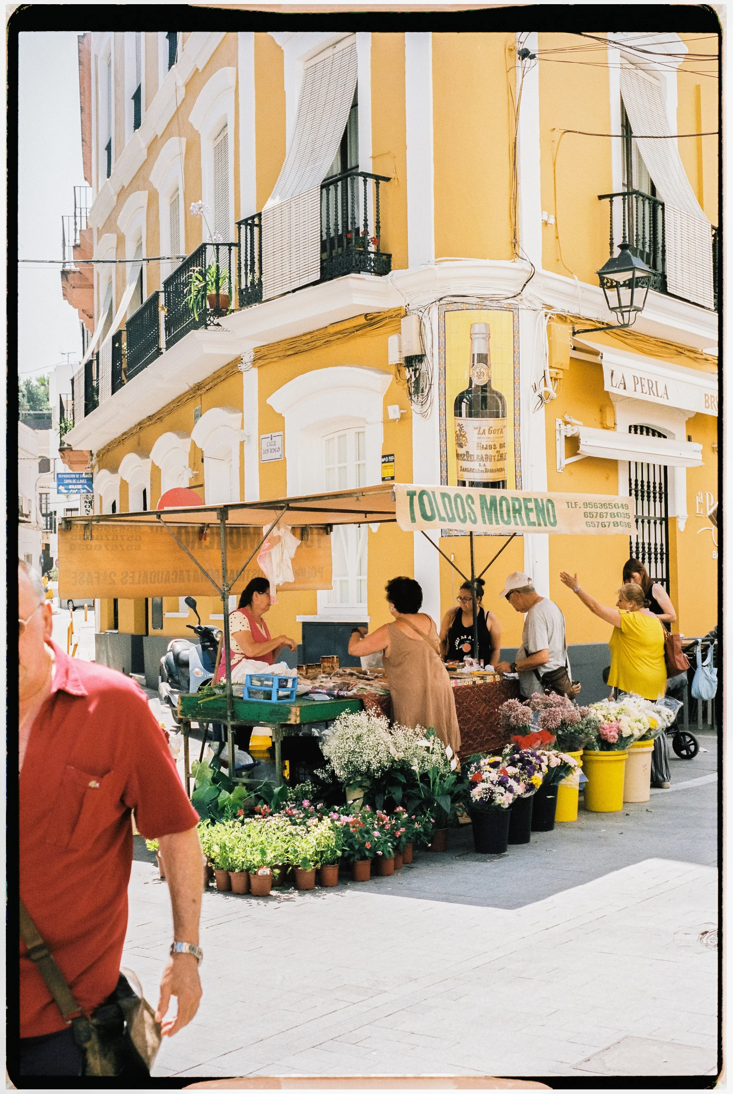 ViajeAndalucia-75.jpg