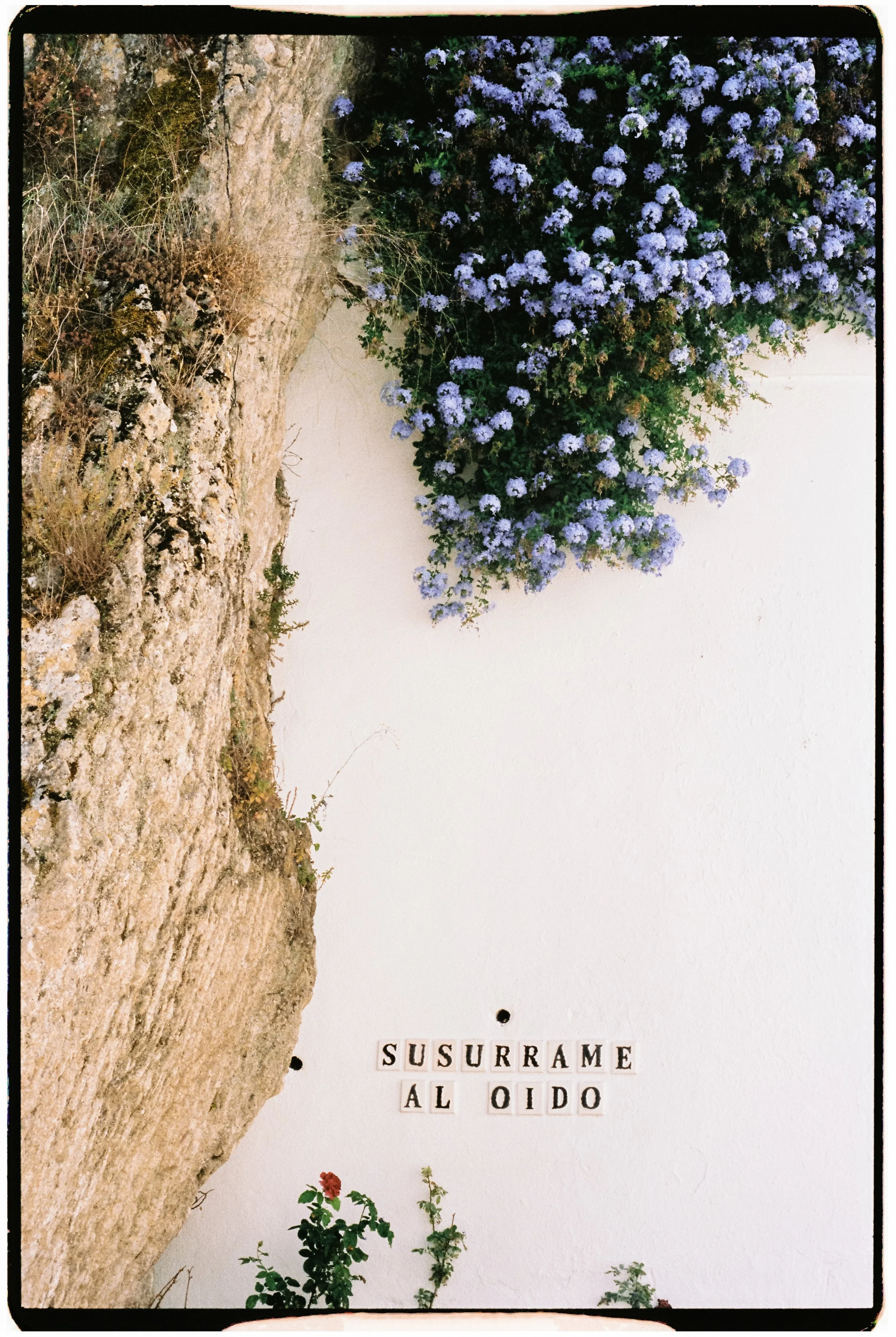 ViajeAndalucia-159.jpg