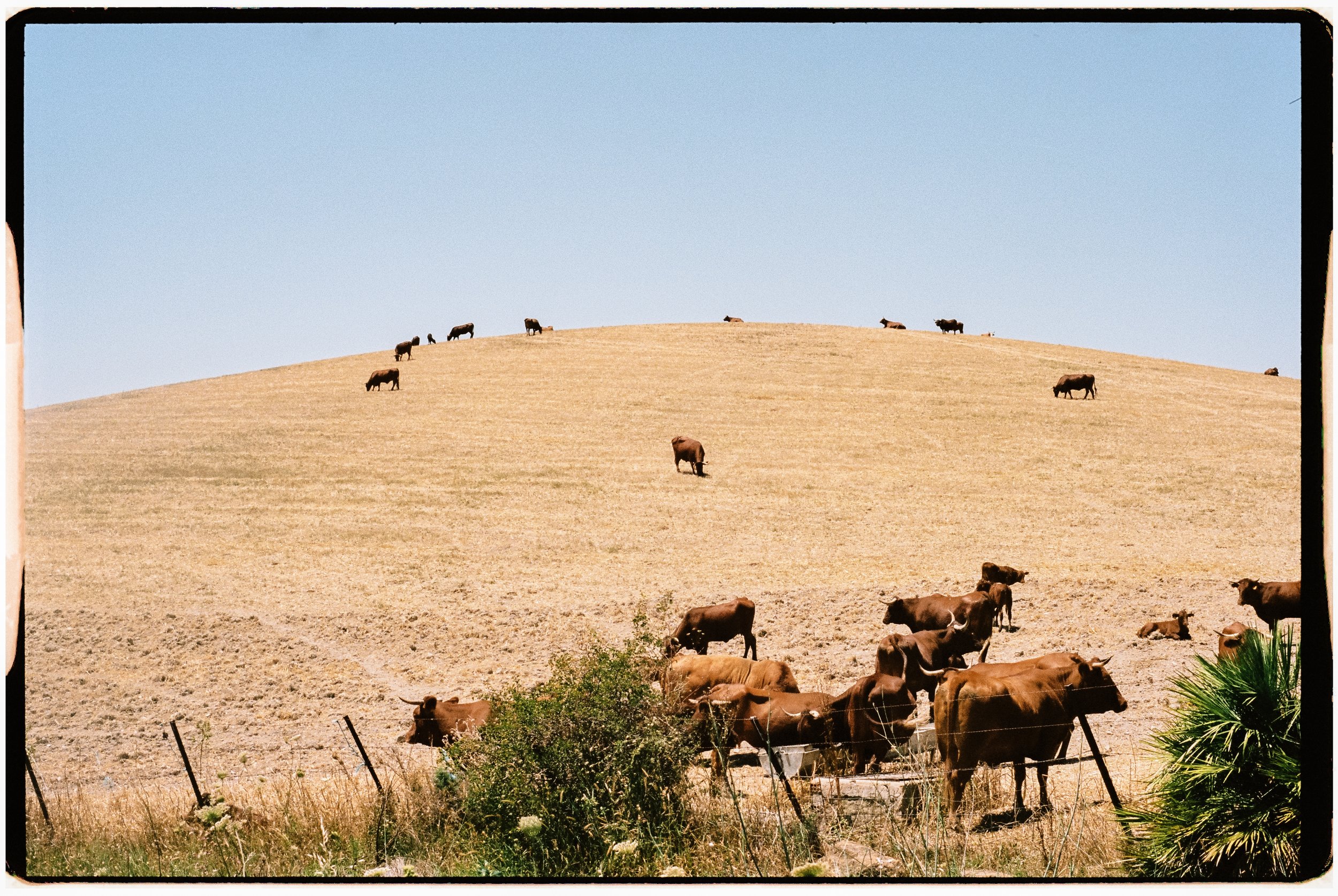 ViajeAndalucia-175.jpg