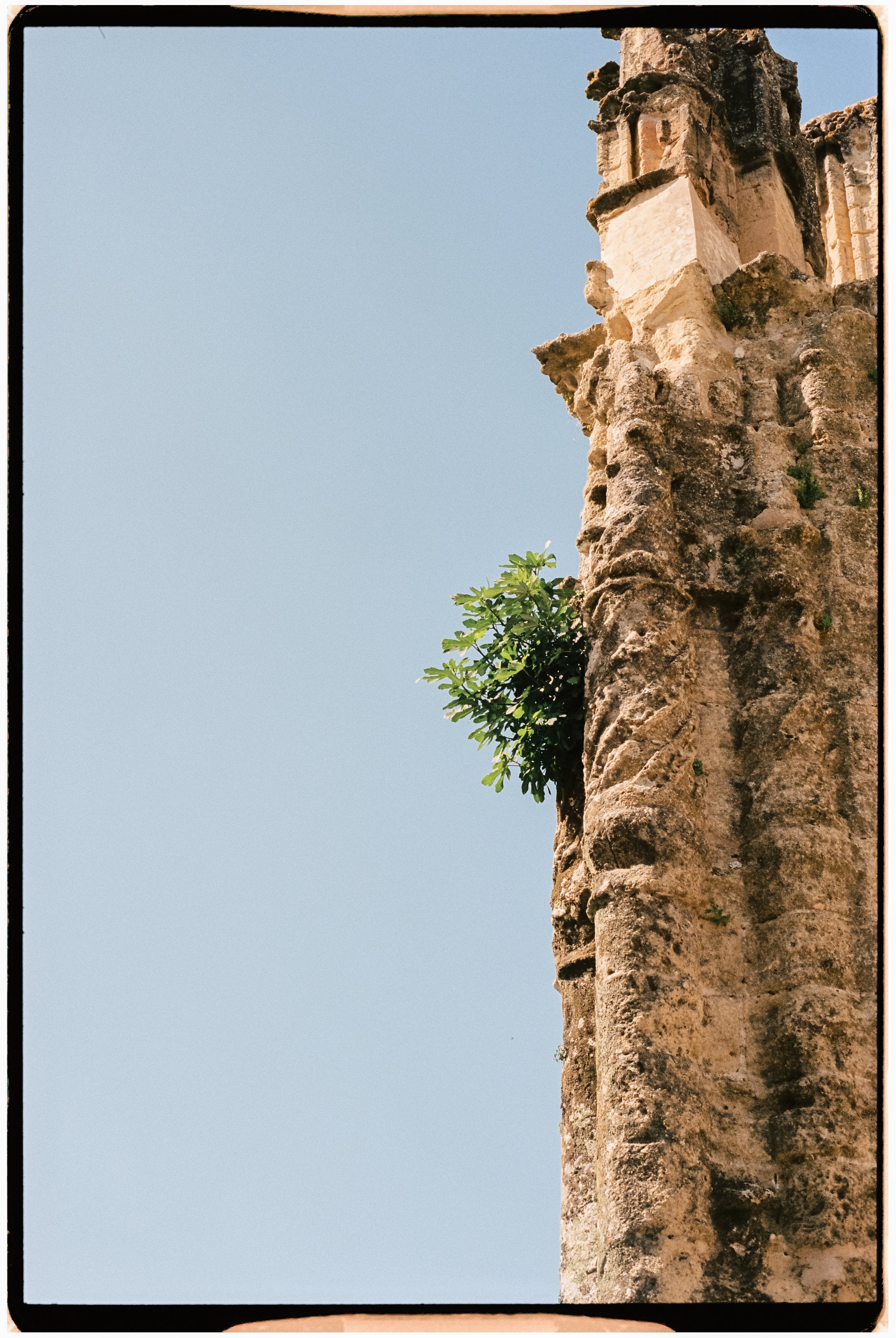 ViajeAndalucia-180.jpg