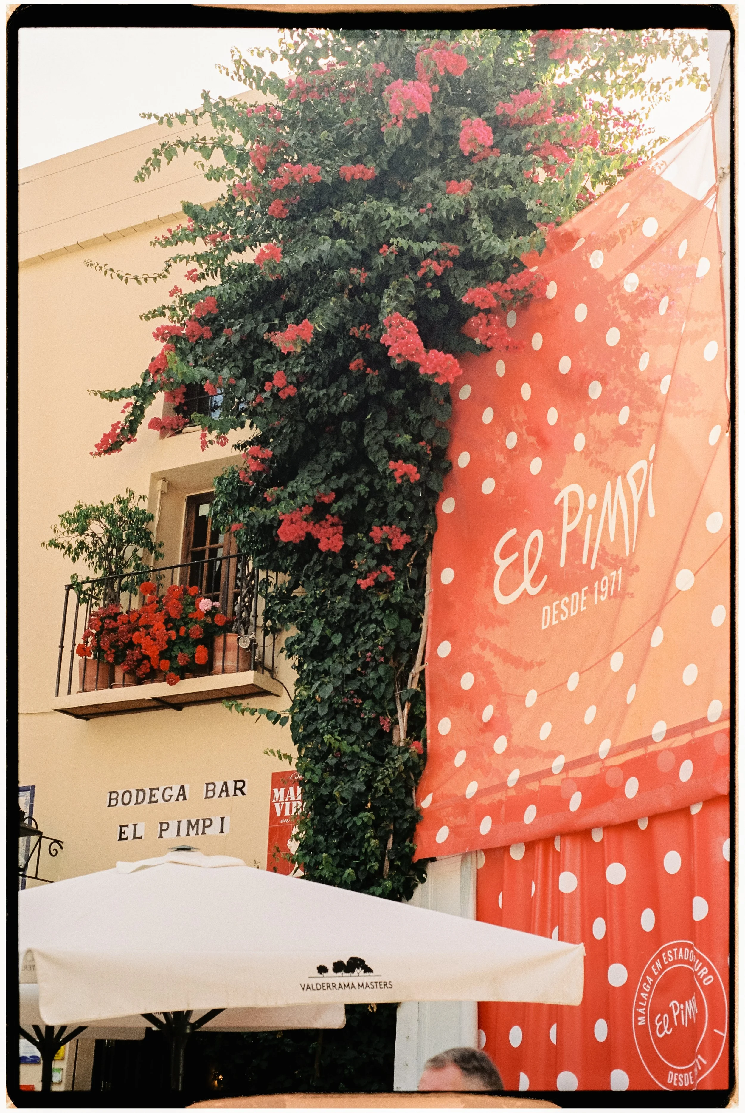 ViajeAndalucia-368.jpg