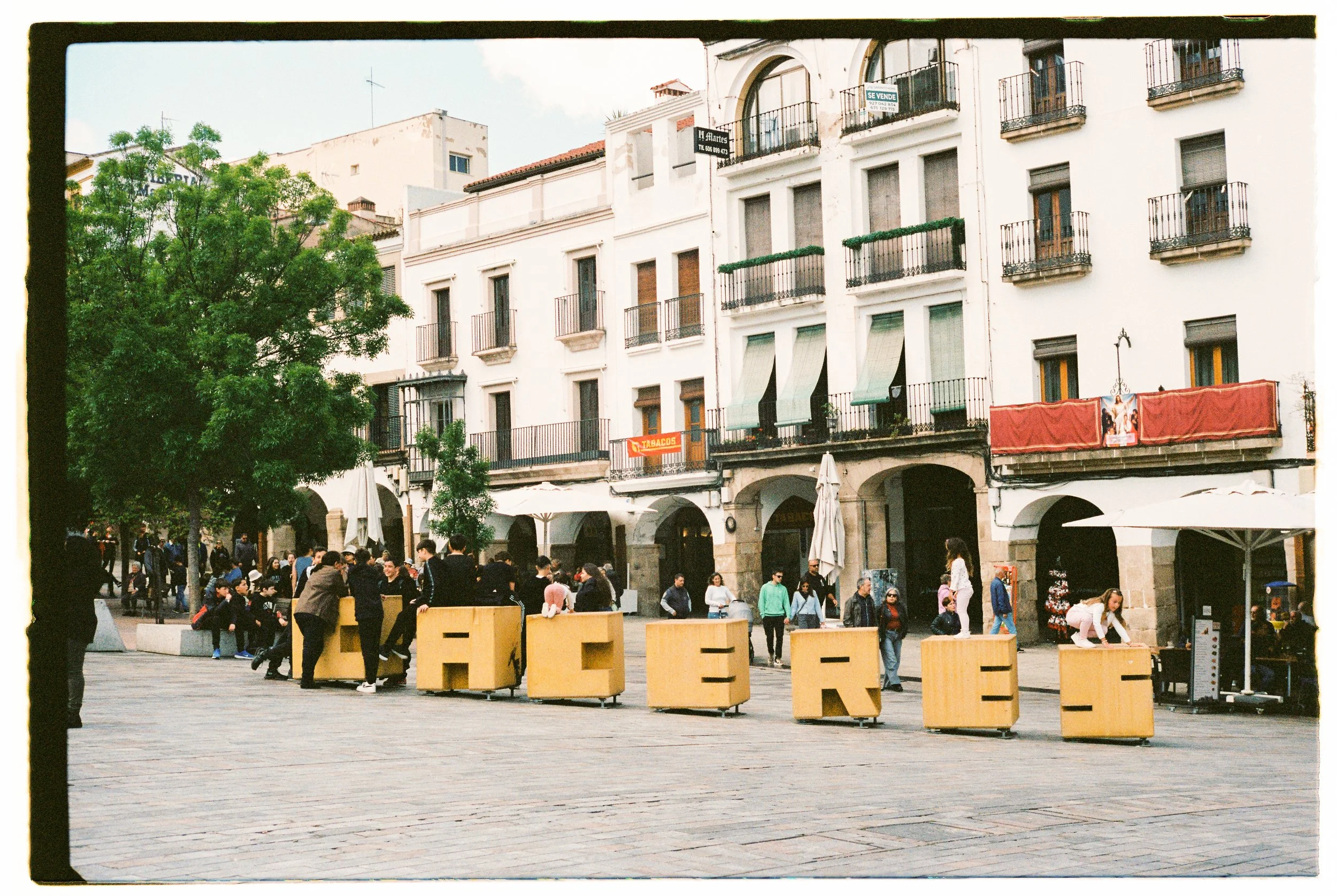 Viaje Cáceres Madrid 2025-140.jpg