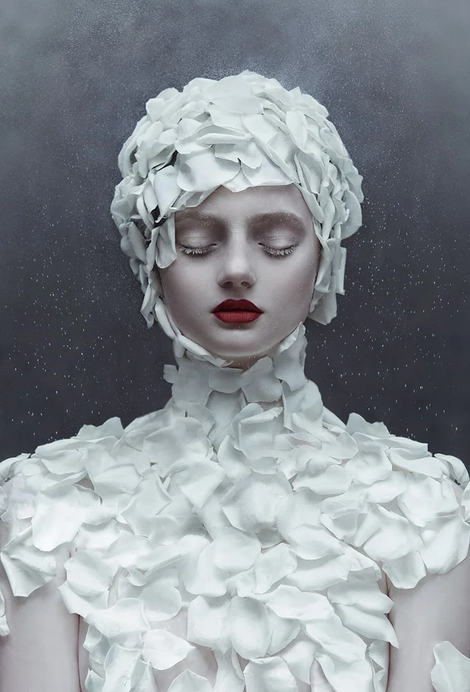 Motherland Chronicles - Winter's Rose, 2013