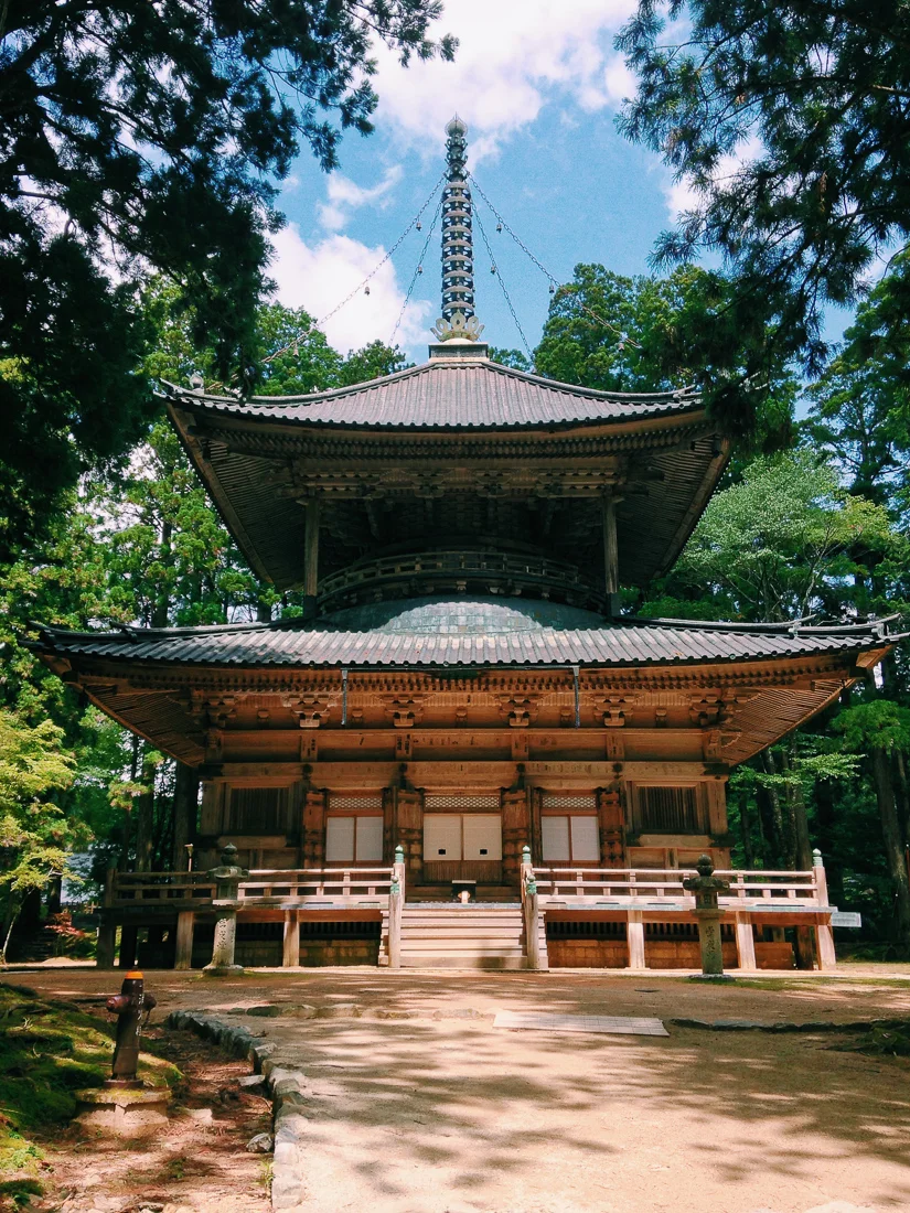 Jingna Japan - IMG_2495.jpg