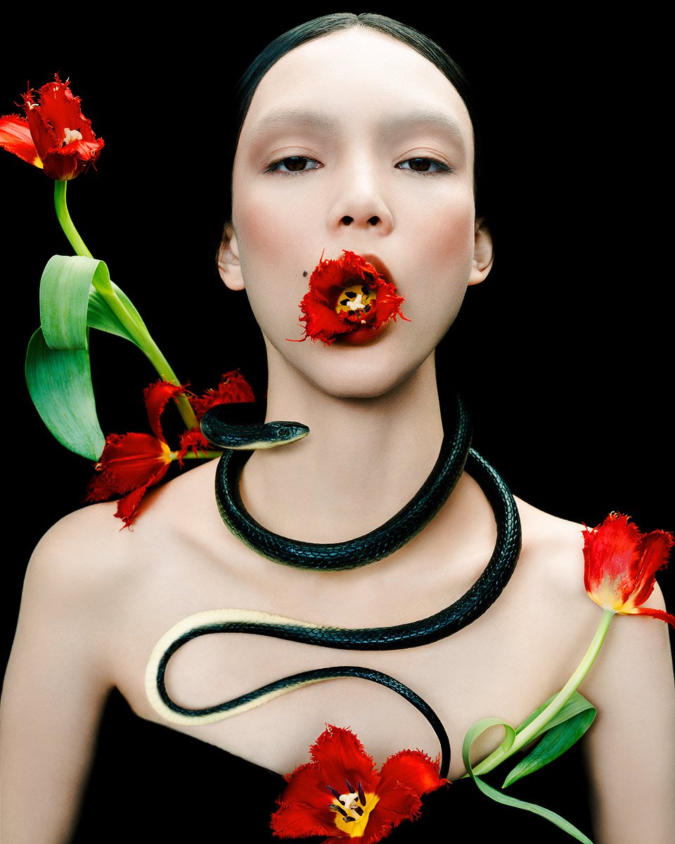 year-of-the-snake---serena-jane---jingna-zhang.jpg