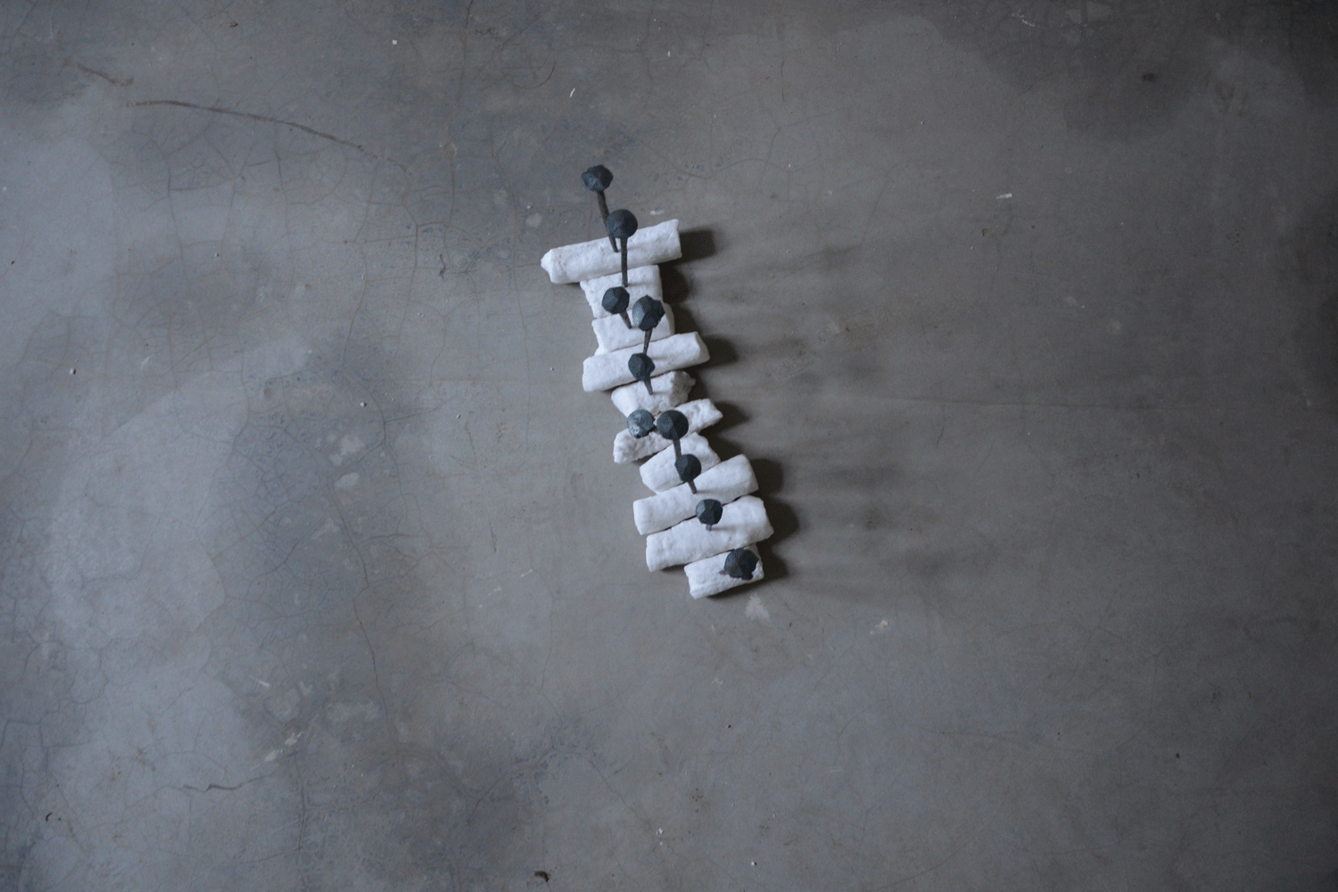 Arianna Petrich, Heavenly Bodies