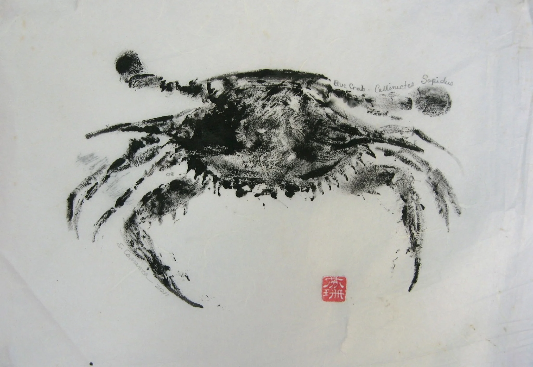 Crab.jpg