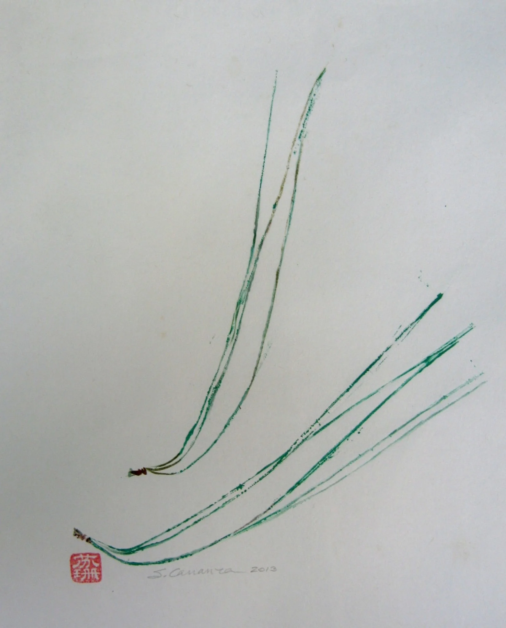 Pine needles.jpg