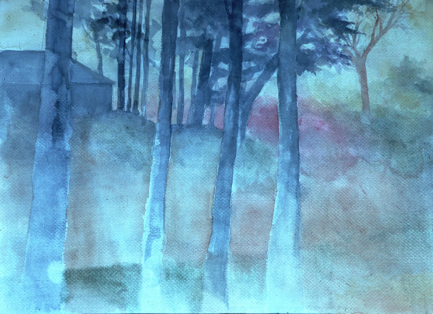 Arkansas Woodlands.jpg