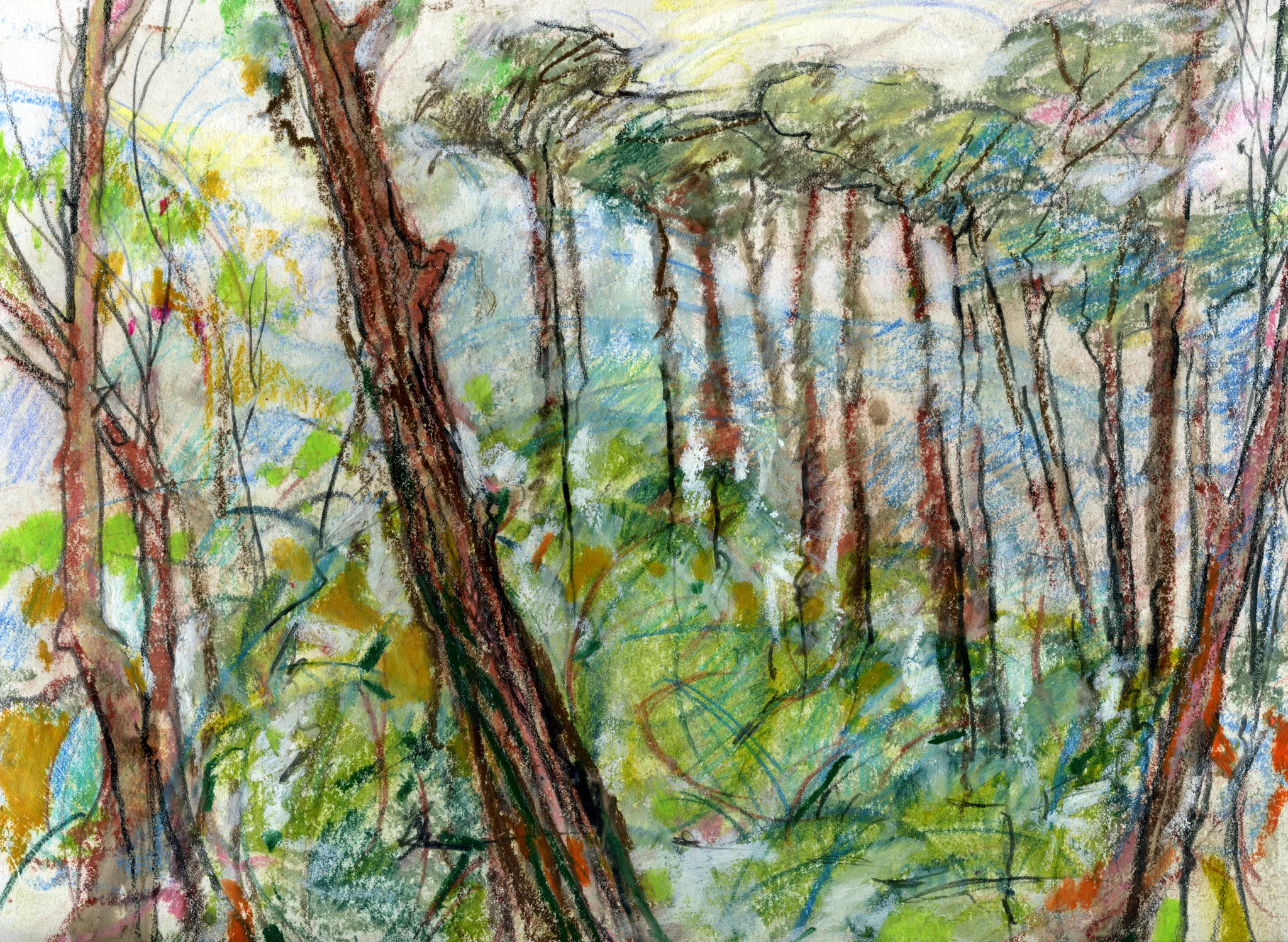 Gulf Shores Slash Pines.jpg