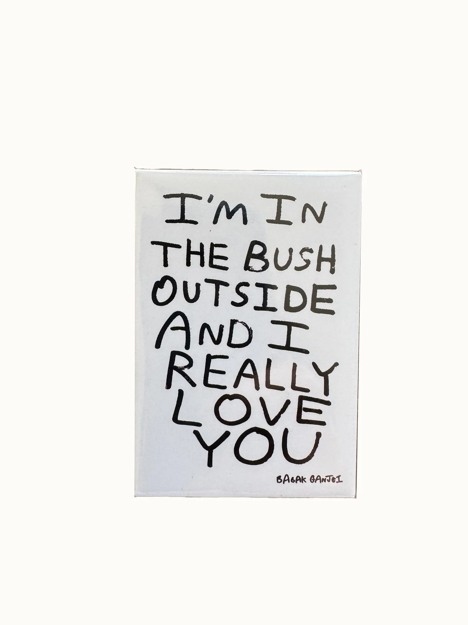 BUSH MAGNET.jpg