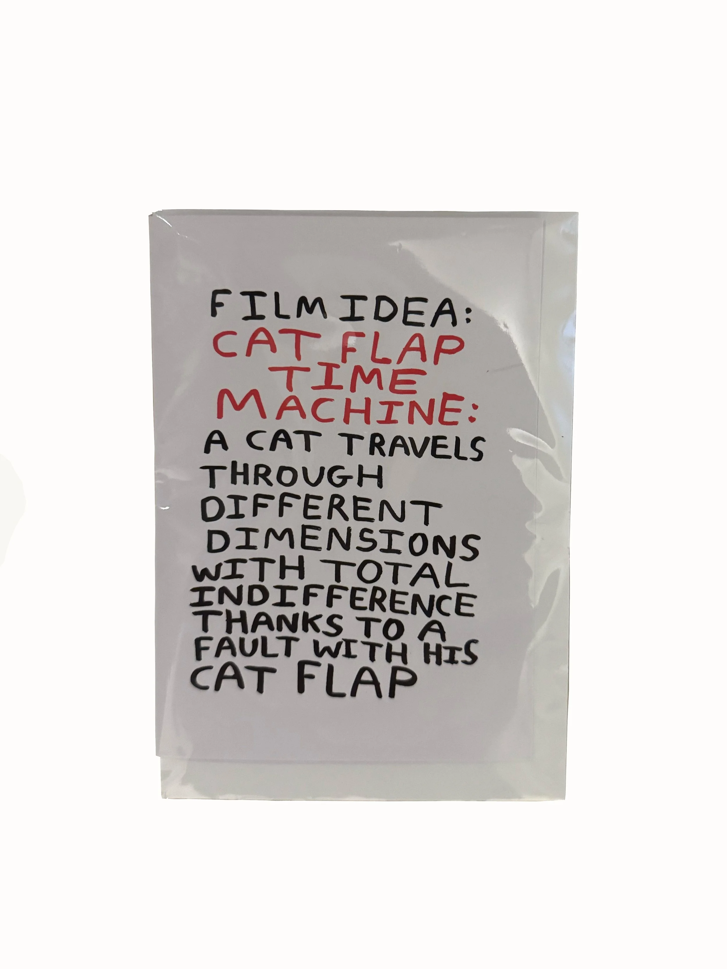 CATFLAP copy 2.jpg