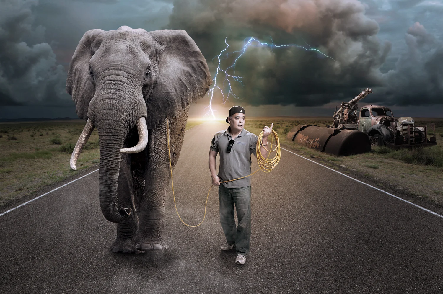 CSP-Elephant-Walking.jpg