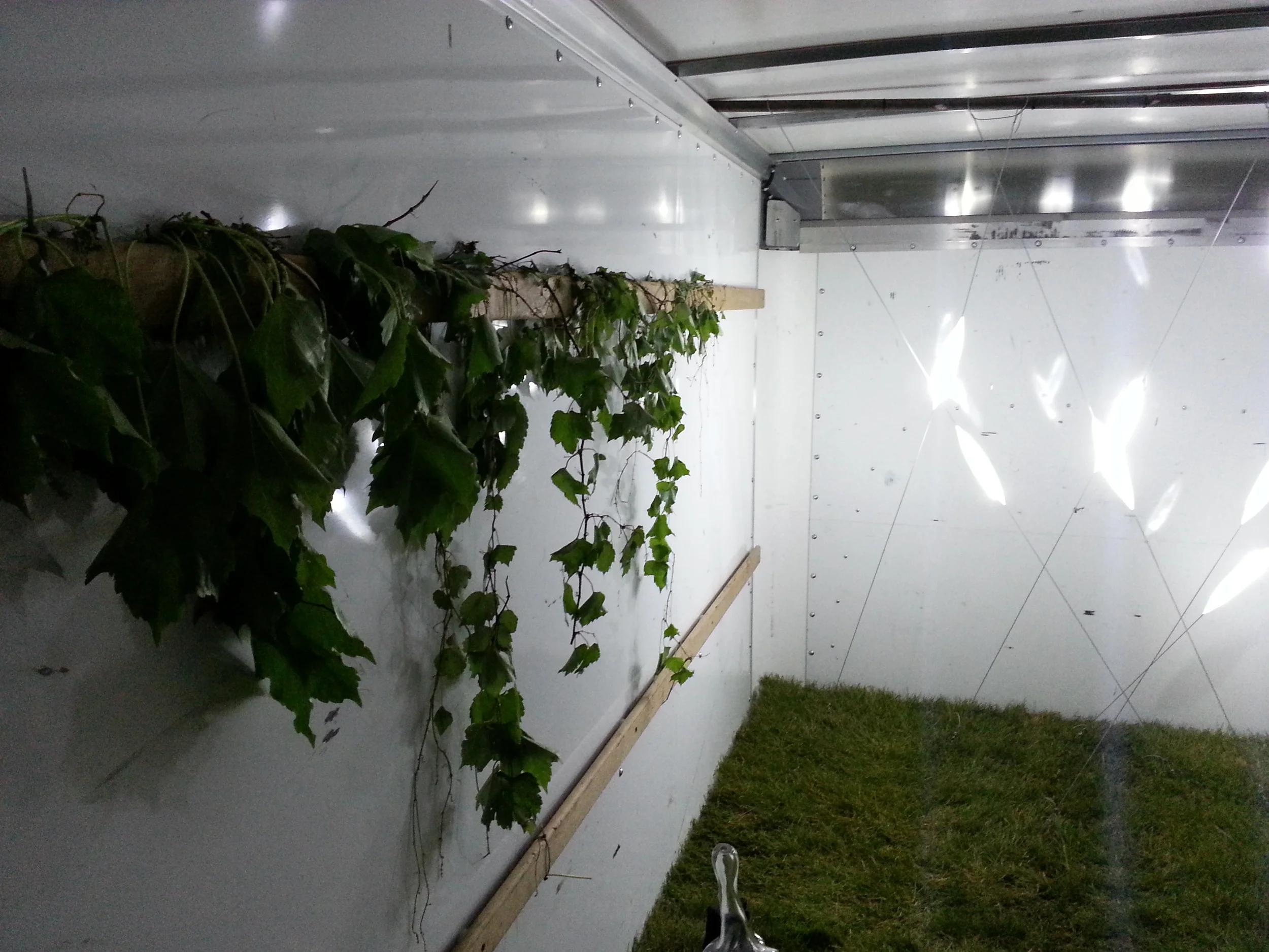 20130611_210301.jpg