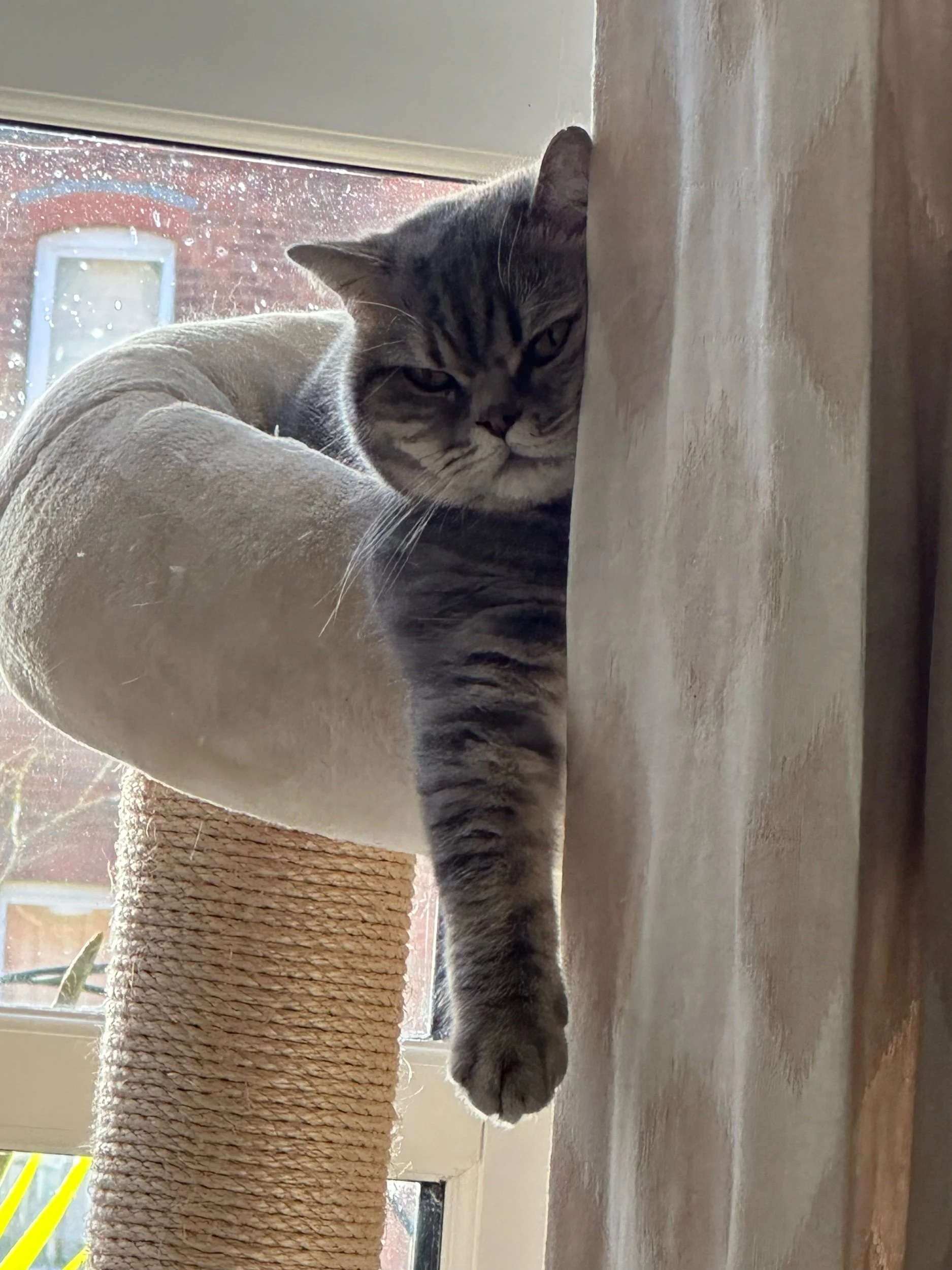 IMG_2310.jpeg