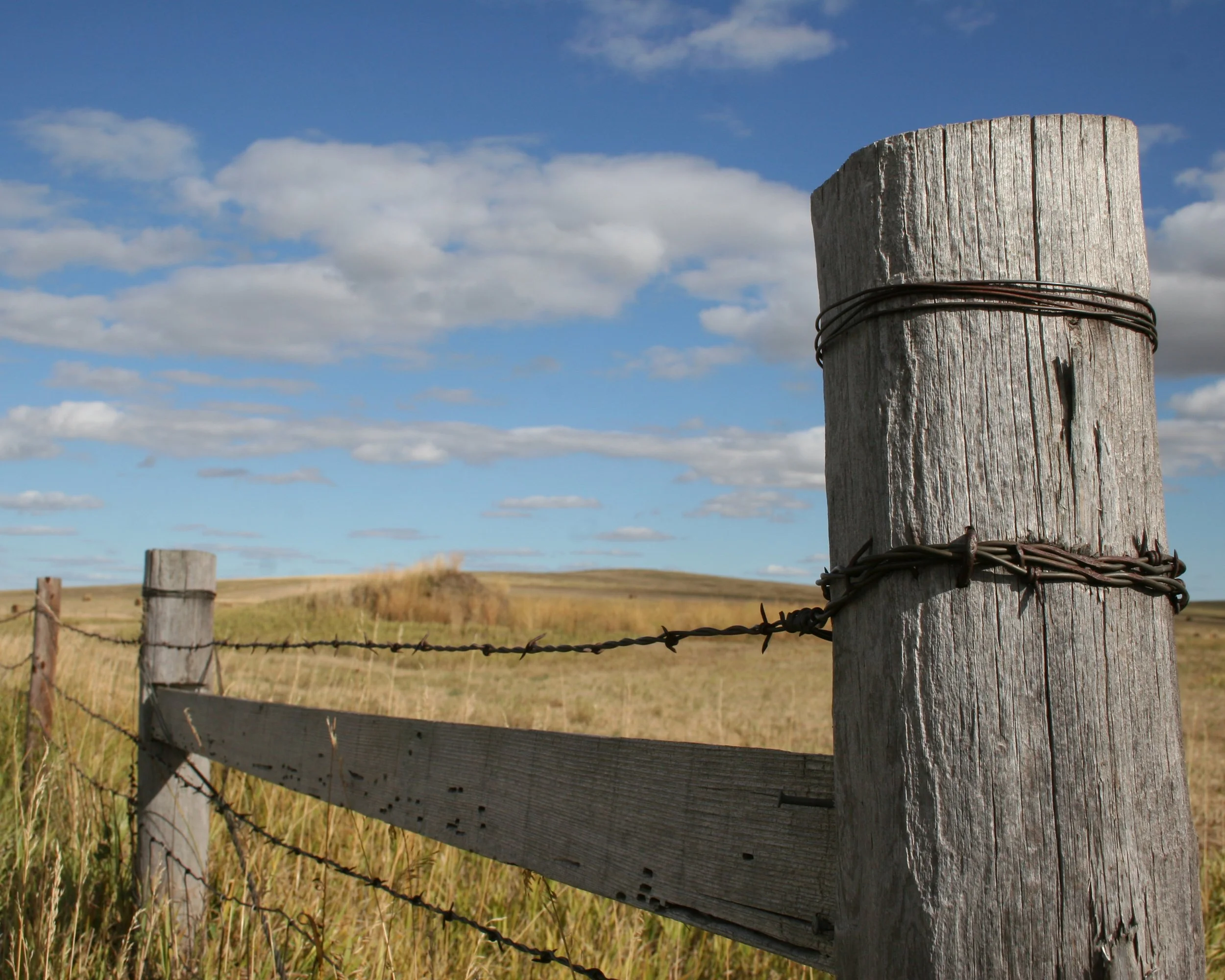 s.dakota.fence.jpg