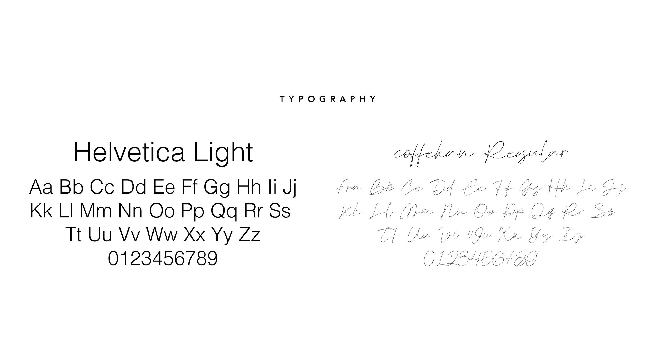 TSL - Typography.png