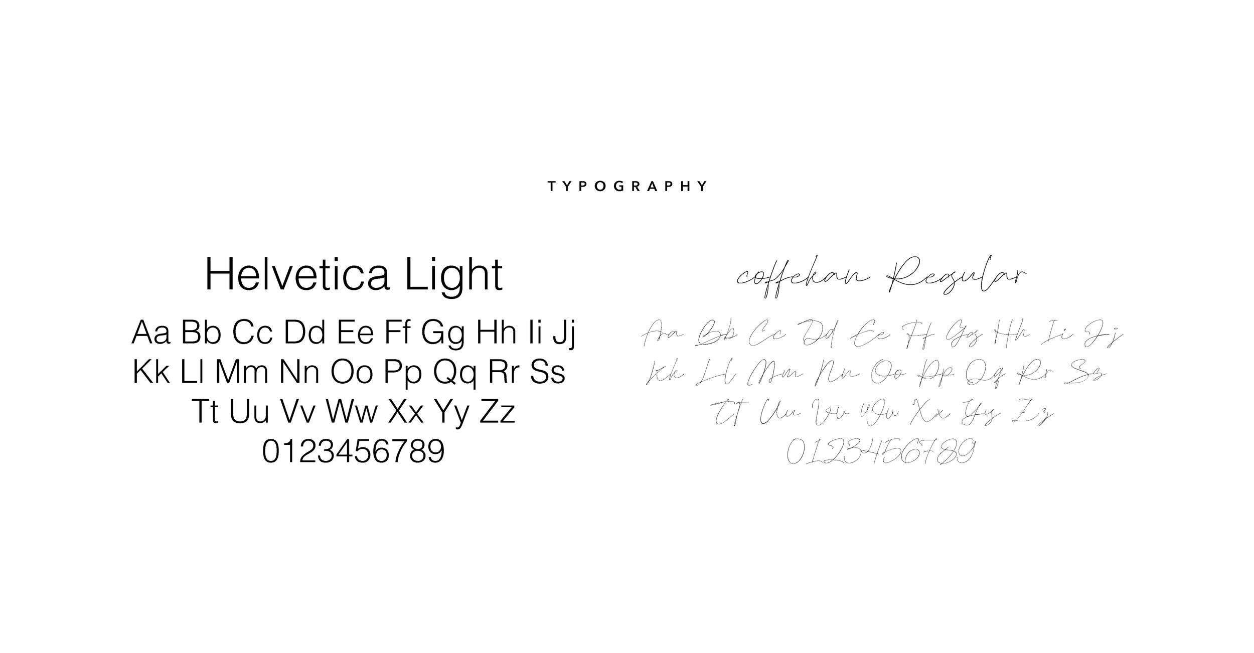 TSL - Typography.png