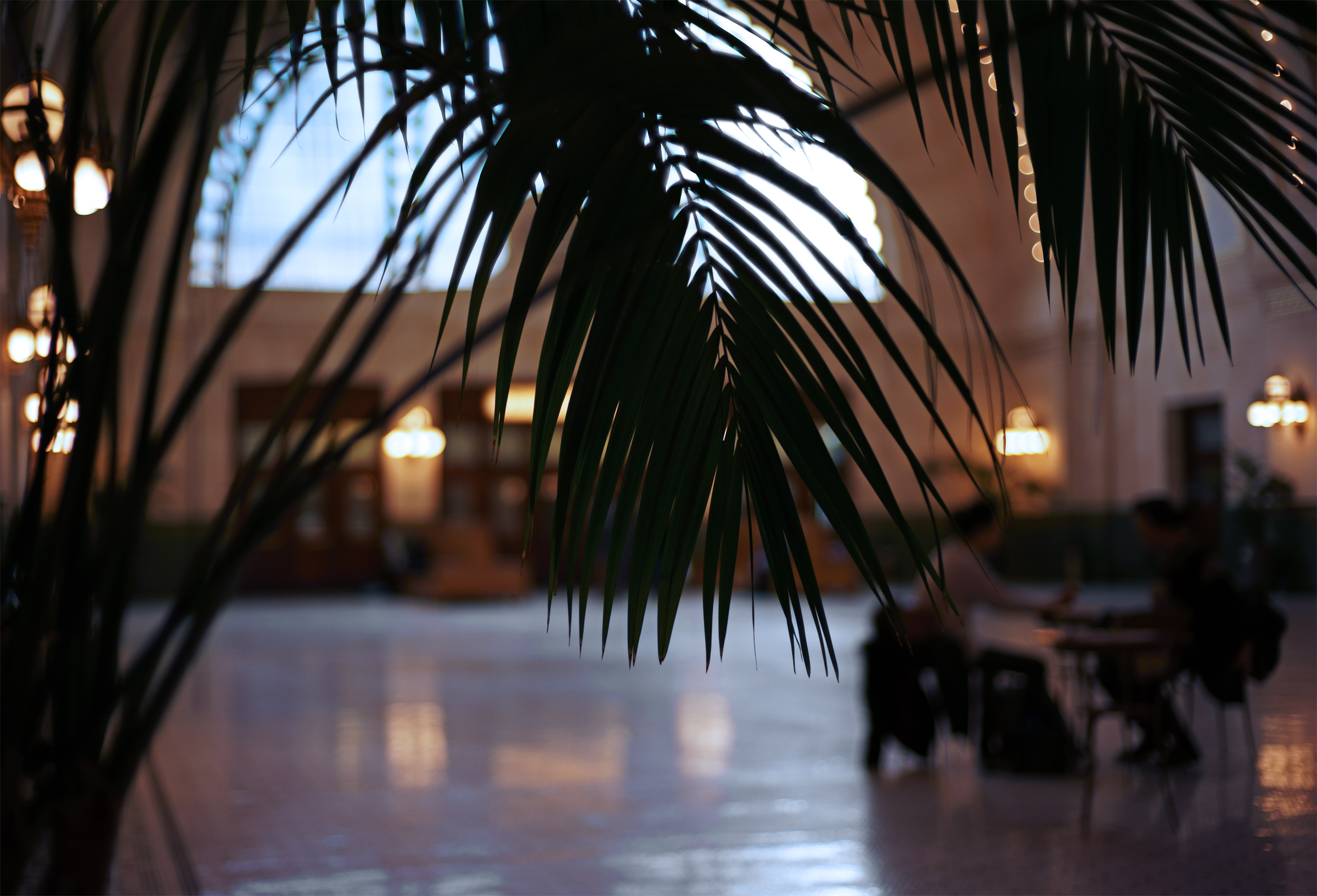 SEA Union Stn Palm med.jpg