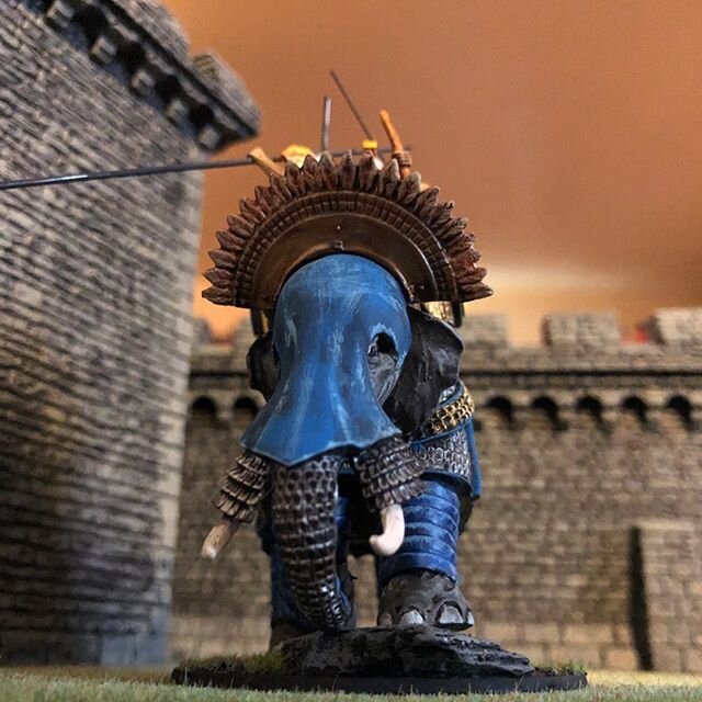 Duke Ramon Kalivantes has recently acquired a stable of Carthaginian elephants for the Nicholshire guard.
#meleeworld #gaming #heavy #elephant #carthage #historical #tabletop #dragon #counterstrike
